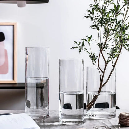 Medium glass cylinder vase 6.5x15cm with hydroponic stem cutting on desk