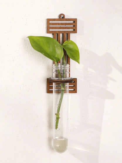 Letter D wooden propagation station with water cuttings in warm morning light