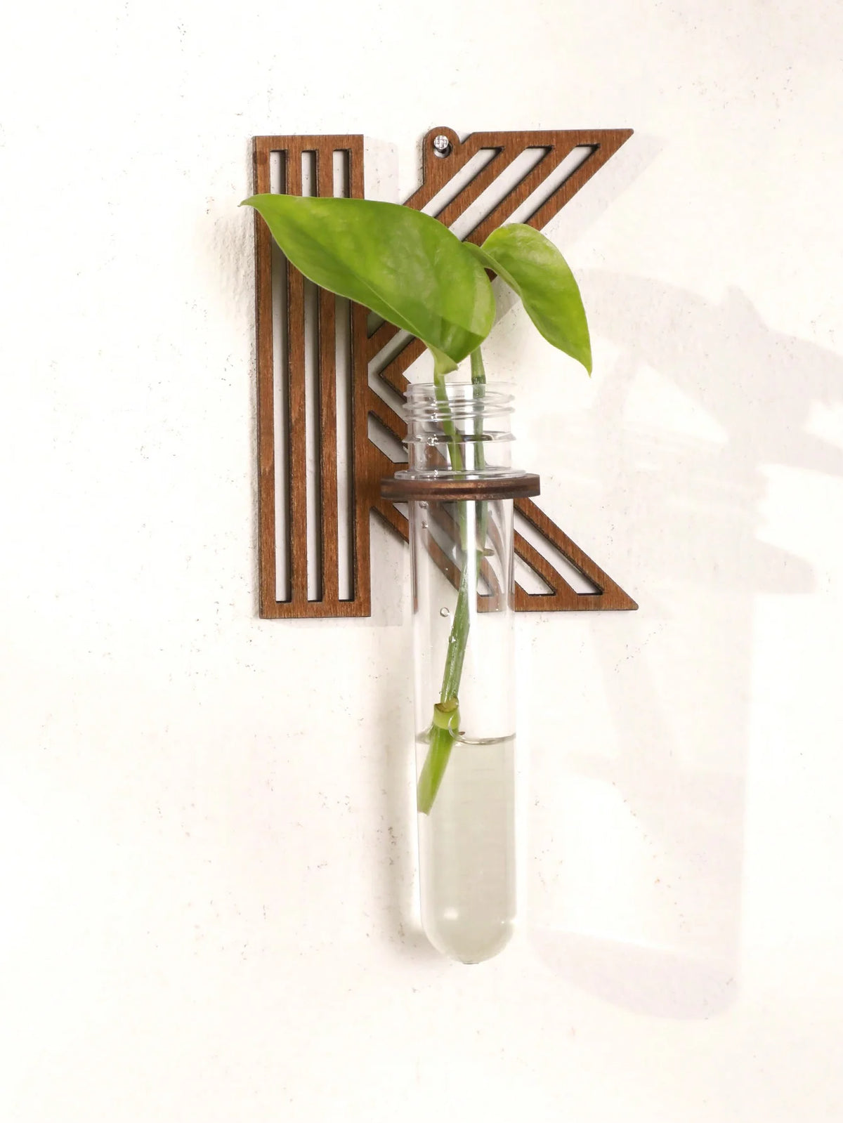Alphabet Letter Wood Propagation Station