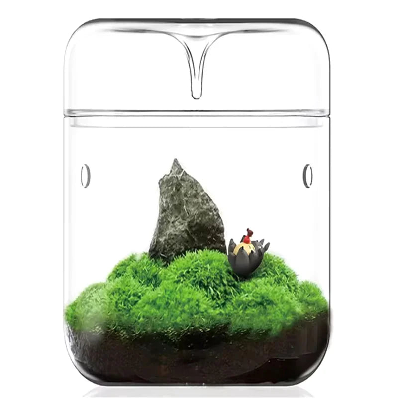 Glass dome terrarium with small succulent plant inside on home desk