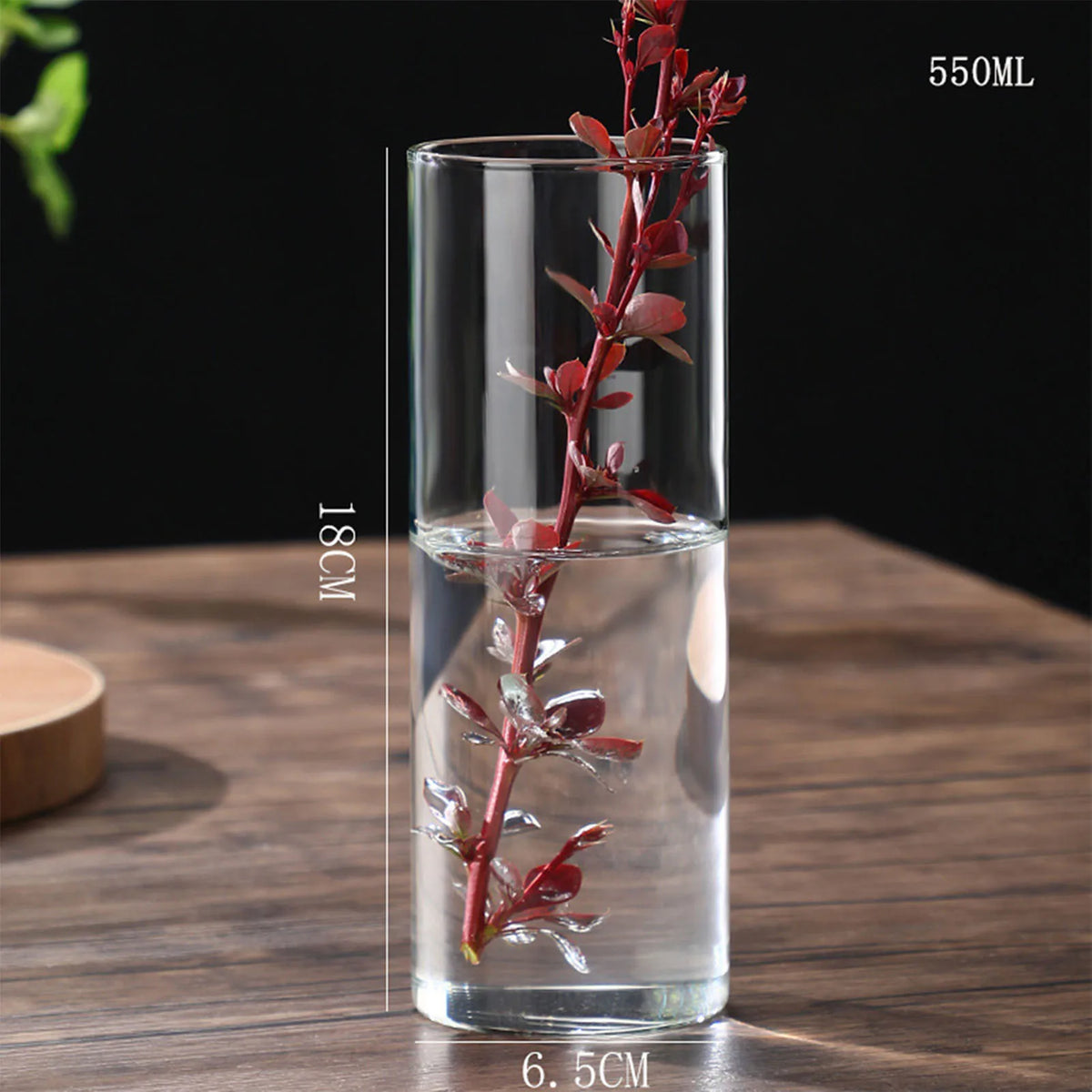 Glass Cylinder Hydroponic Desktop Vase