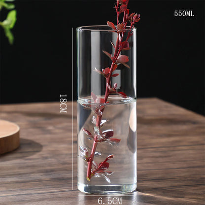 Glass Cylinder Hydroponic Desktop Vase