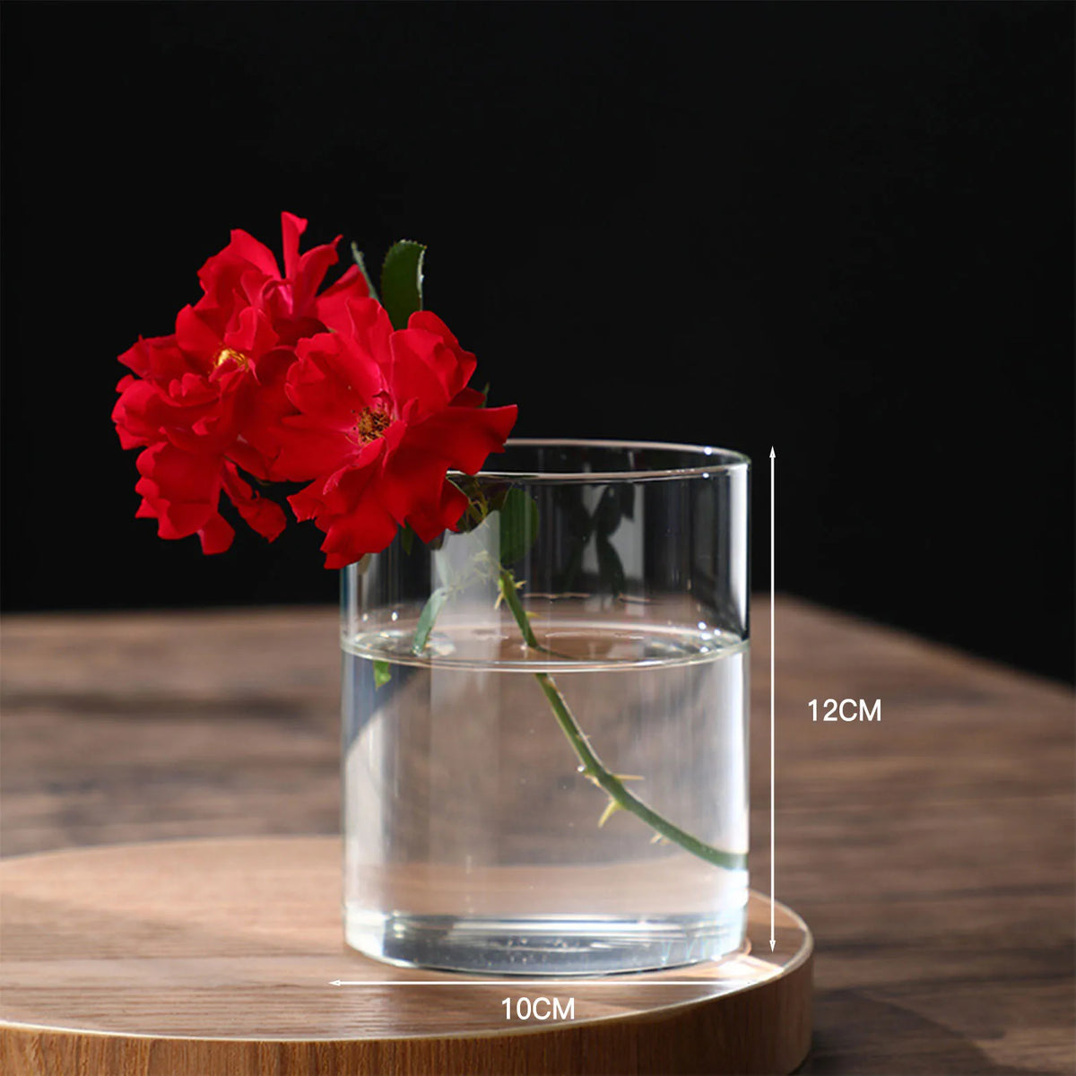 Glass Cylinder Hydroponic Desktop Vase