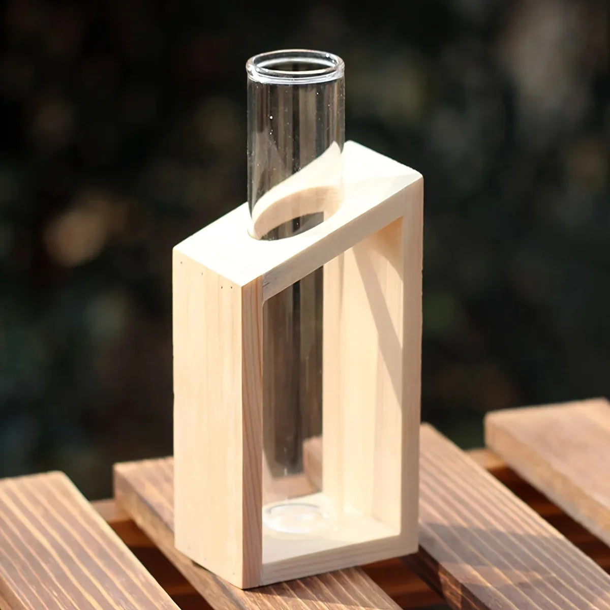 Test tube glass hydroponic vase wooden stand desktop terrarium