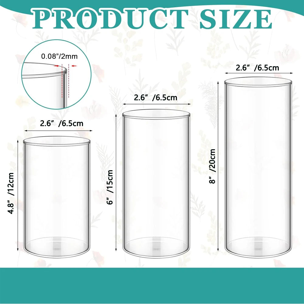 Clear glass cylinder vases in three heights 4 inch 6 inch and 8 inch comparison