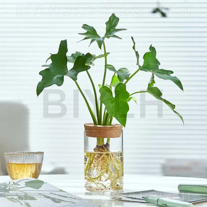Nordic volcanic glass vase hydroponic tabletop plant arrangement