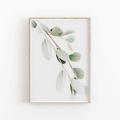 Nordic Minimalist Botanical Eucalyptus Canvas Wall Art