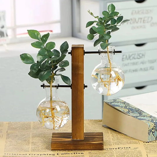Wooden-frame glass tube hydroponic planter stand for indoor plant propagation