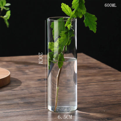 Glass Cylinder Hydroponic Desktop Vase
