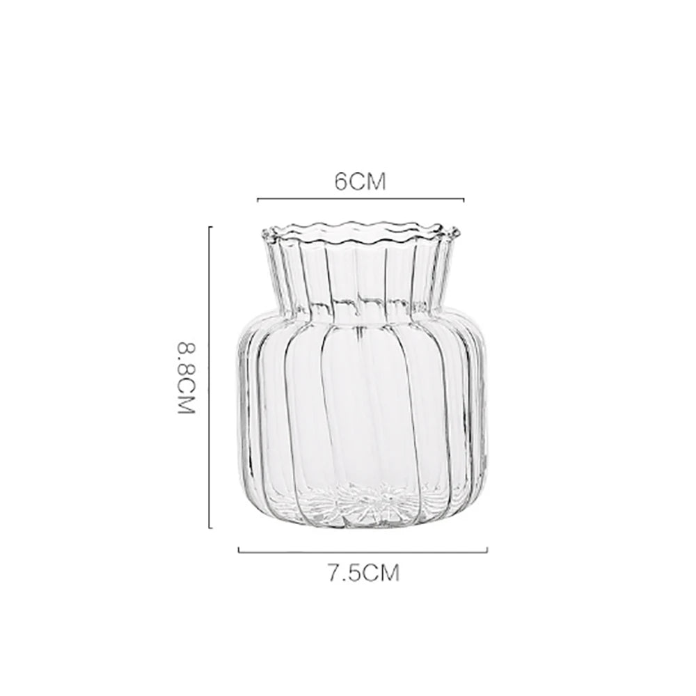 Nordic glass bottle vases in varied sizes for terrarium and hydroponic use