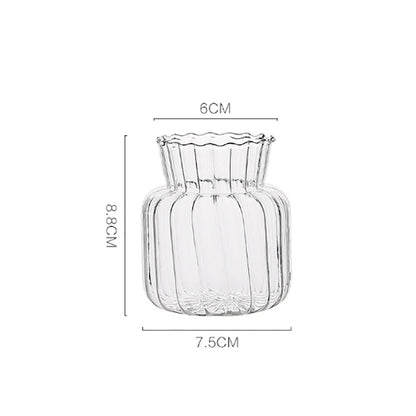 Nordic glass bottle vases in varied sizes for terrarium and hydroponic use