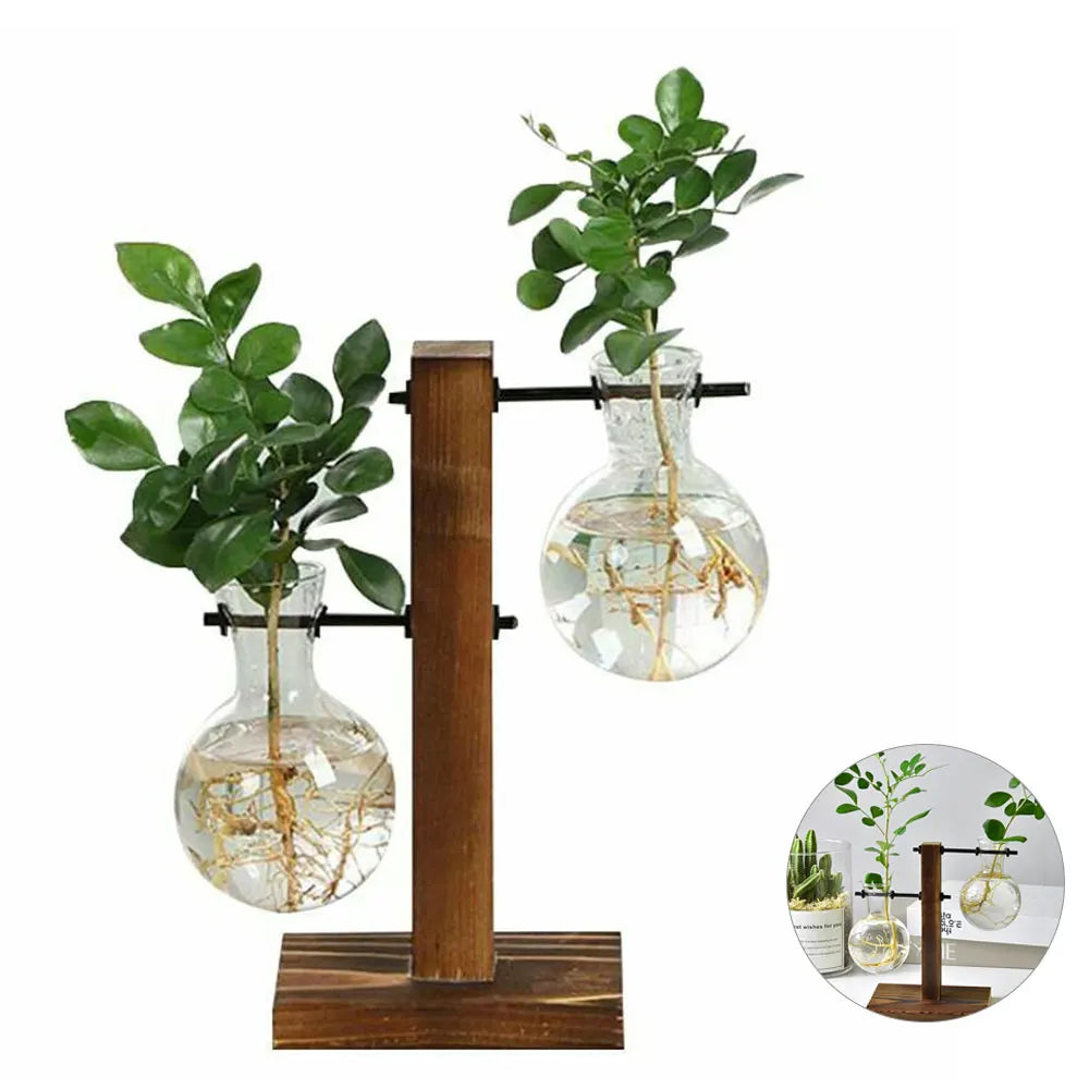 Close-up of round glass bulb vessel resting in natural wooden stand