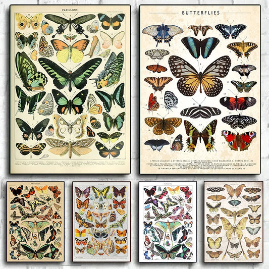 Vintage Butterfly Insect Collection Canvas Wall Art