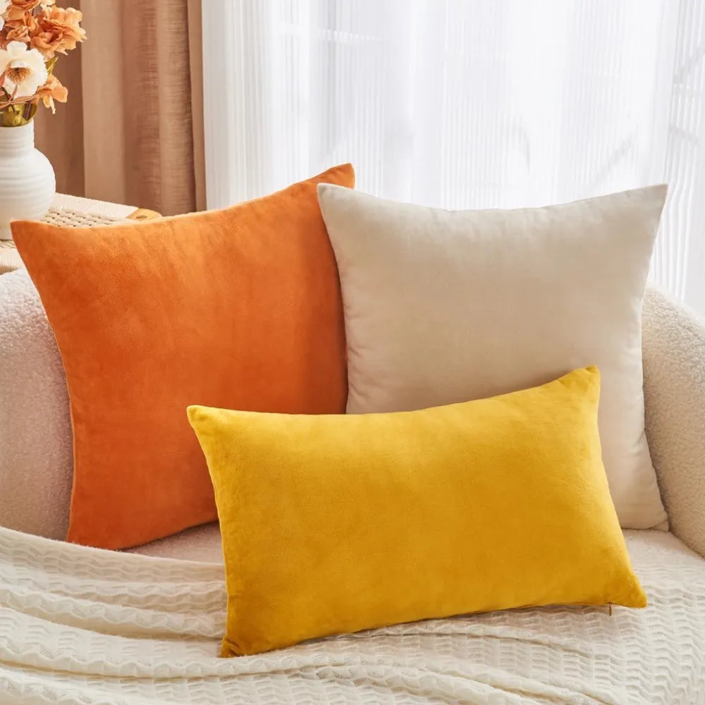 Plush Velvet Throw Pillow Cover