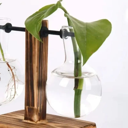 Glass test tube planter stand with multiple tubes holding plant cuttings