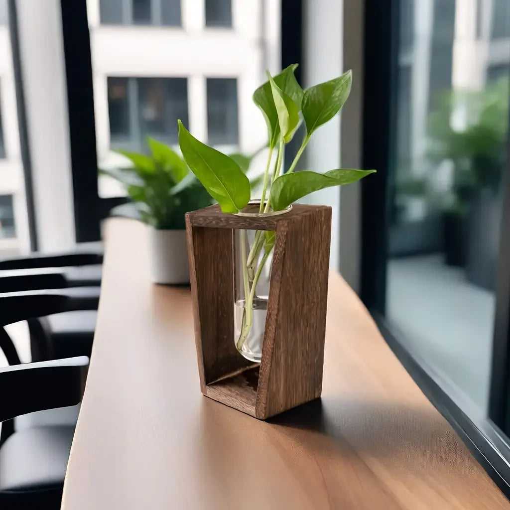 Overhead view of minimalist wooden propagation vase photographed from above