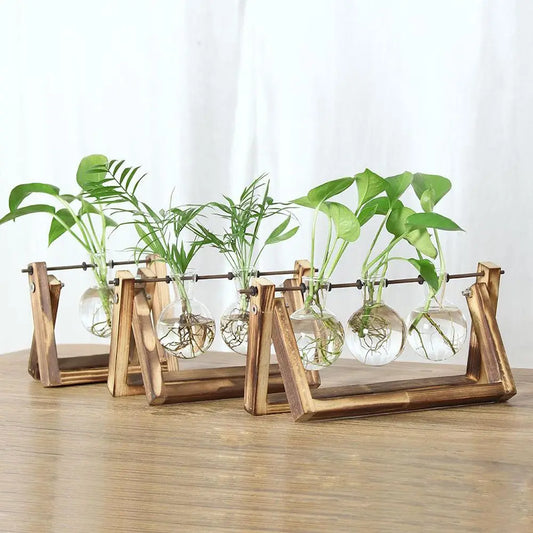 Geometric wooden frame glass terrarium planter for hydroponic plants on desk