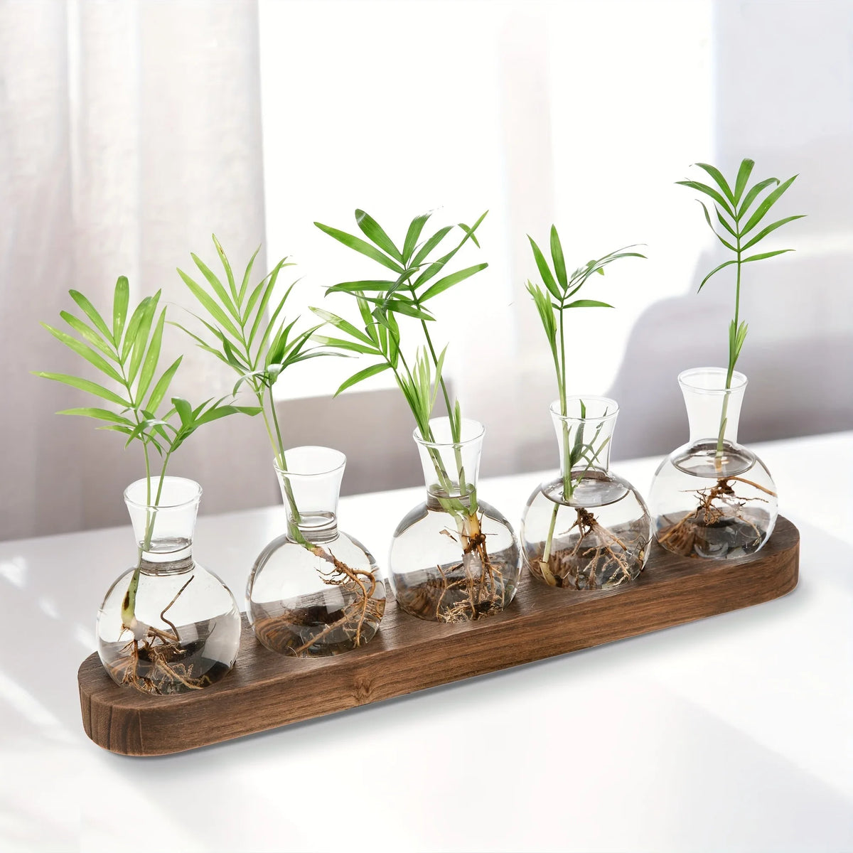 Glass terrarium with wooden tray holding fresh plant cuttings in water