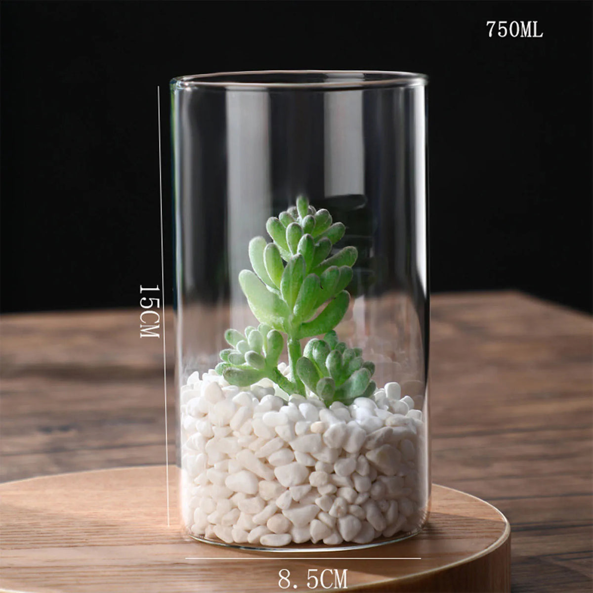 Glass cylinder vase with single fresh stem flower on Scandinavian nightstand