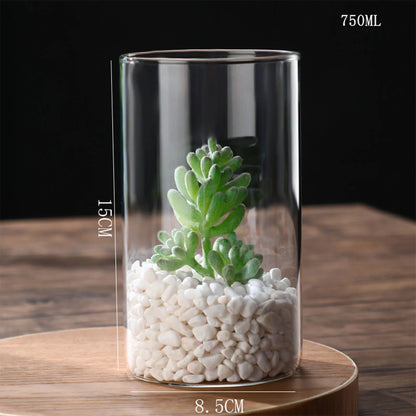 Glass cylinder vase with single fresh stem flower on Scandinavian nightstand