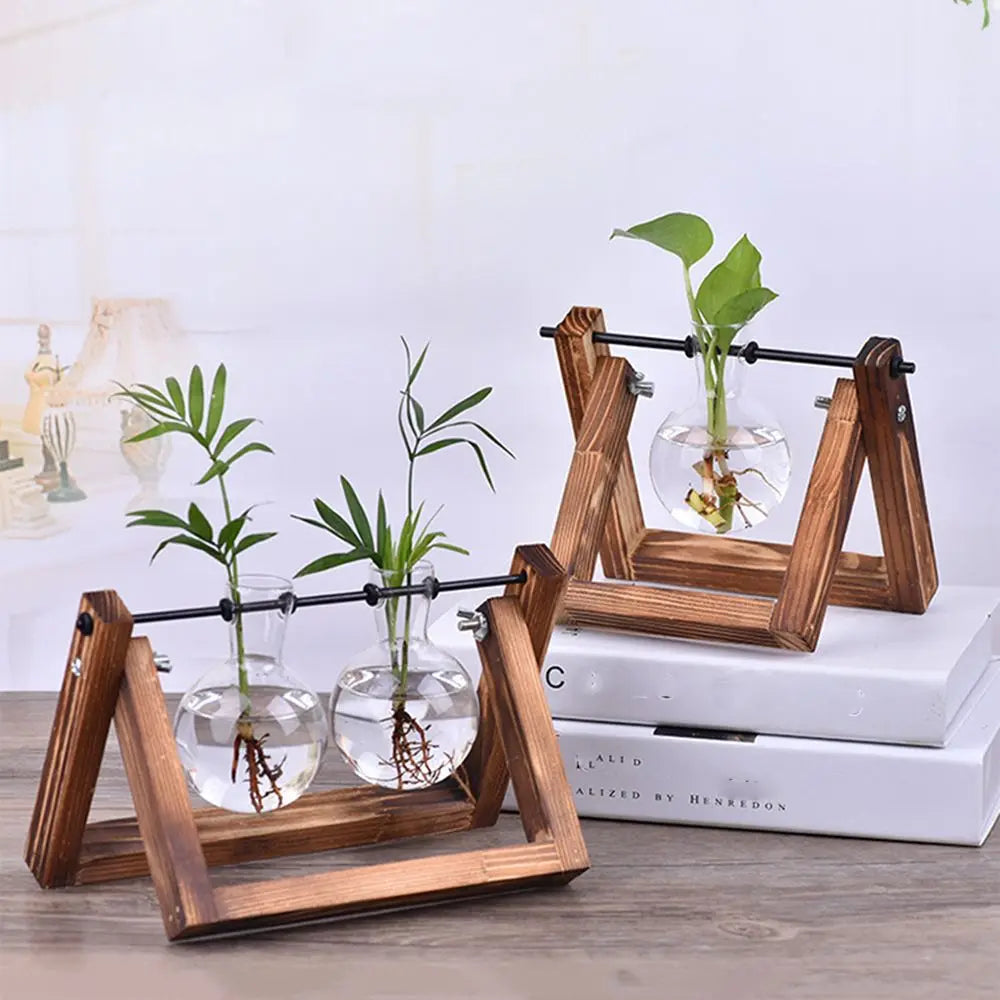 Close-up of geometric wood frame and glass insert on tabletop terrarium