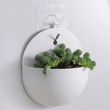 Clear semicircle acrylic wall hanging planter styled with trailing green plant