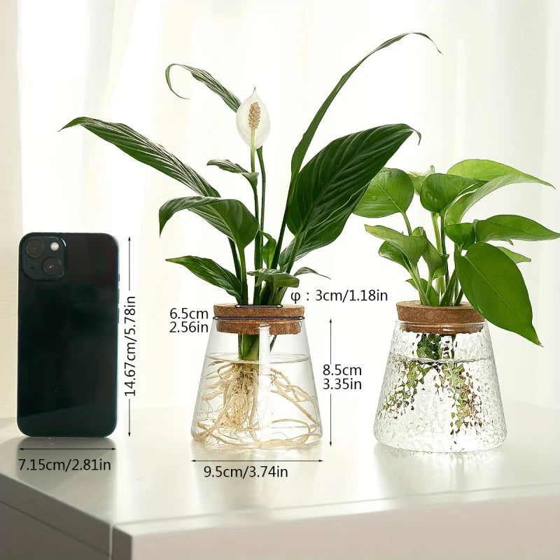 Compact glass propagation planter for indoor plant cuttings on sunny windowsill