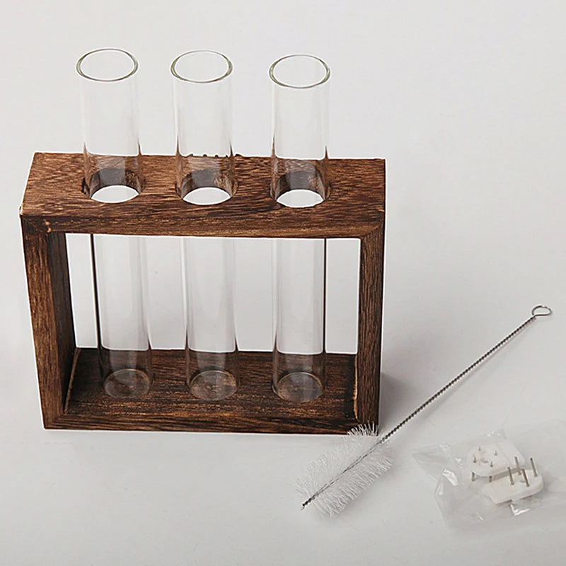 Close-up of glass test tube inserted in natural wood frame hydroponic holder