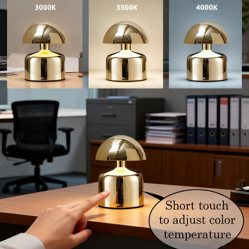 Energy‑Saving Office Desk Lamp with Touch Control & Adjustable Brightness, Ideal for Computer Work, Office Lighting, Study Room and Home‑Office Use