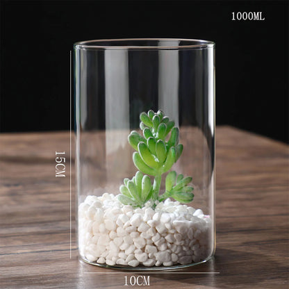 Glass Cylinder Hydroponic Desktop Vase