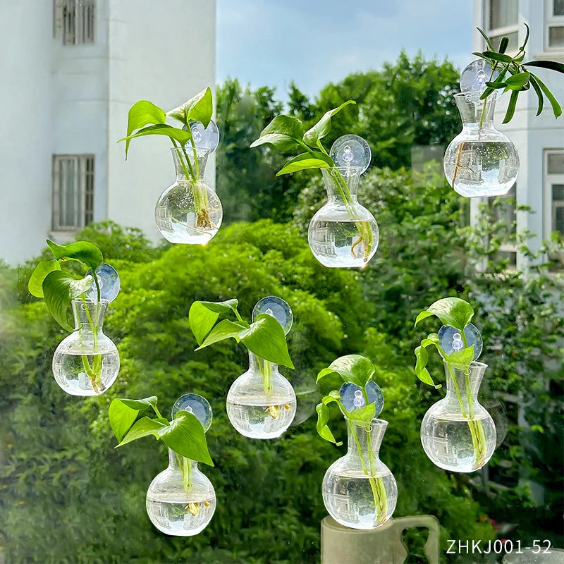 Suction cup glass gourd vase hanging hydroponic window planter