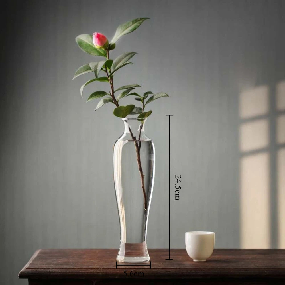 Chinese style transparent glass hydroponic vase table décor