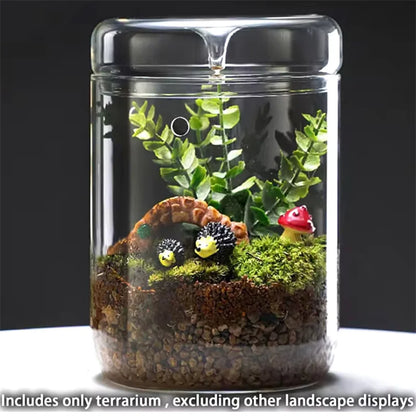 Lidded glass terrarium for miniature moss landscape on office surface