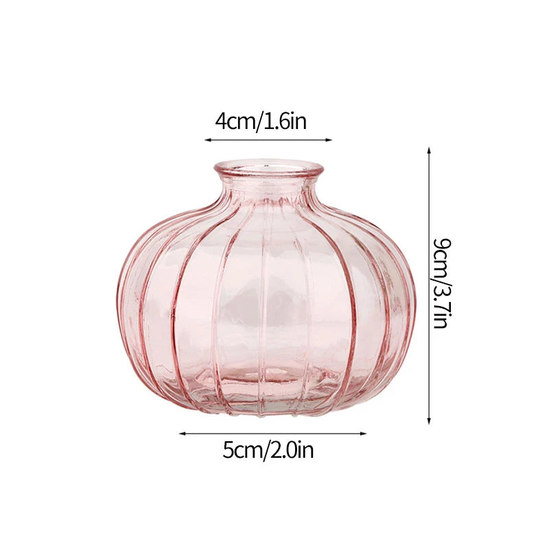 Minimalist Clear Glass Flower Vase