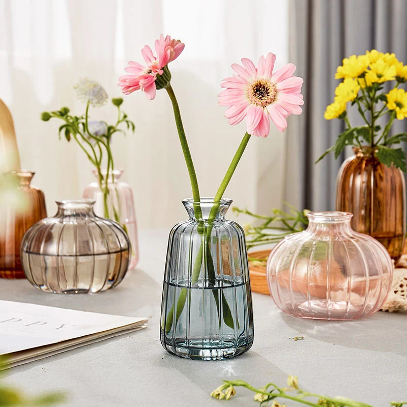 Minimalist clear glass vase multiple sizes comparison