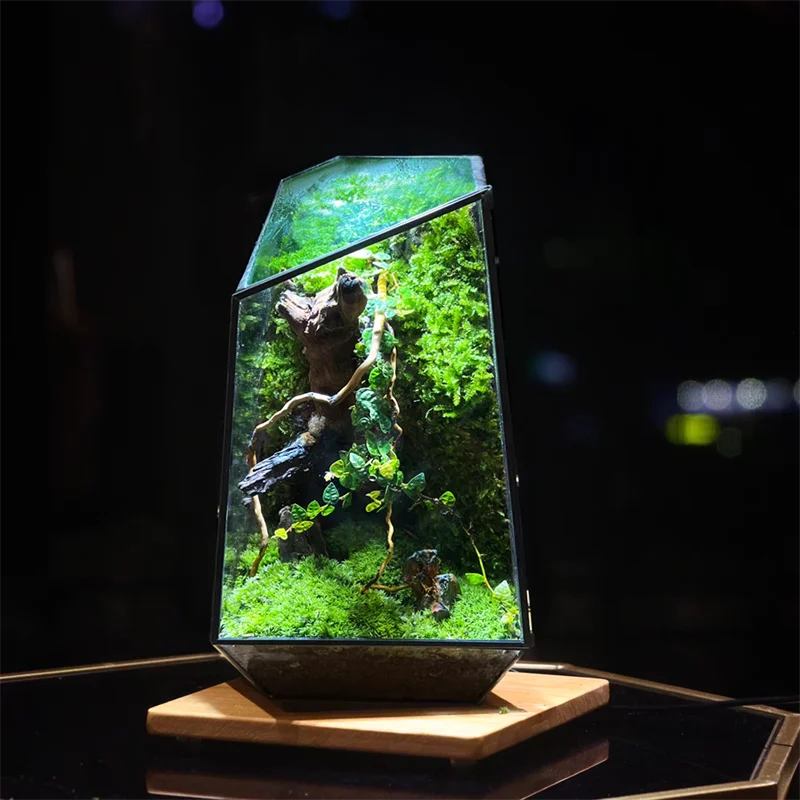 Quartz glass terrarium planter at full 26.5 cm height with air plants creatively displayed