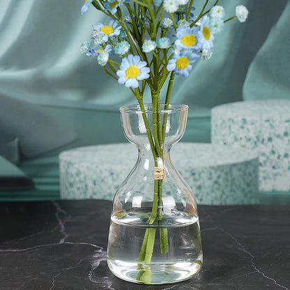 Glass avocado seed grower vase with avocado sprouting