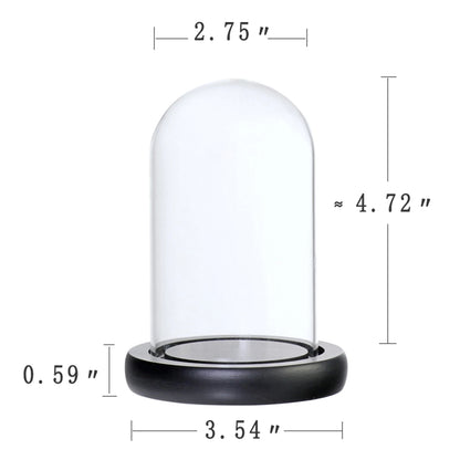 Clear Glass Dome Cloche Vase
