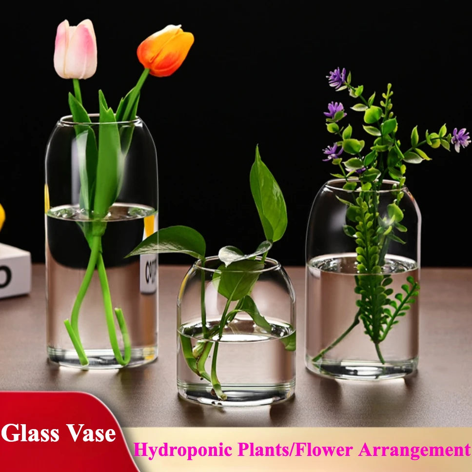 Small modern glass hydroponic vase holding a single fresh tulip stem