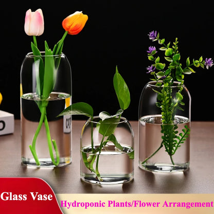 Small modern glass hydroponic vase holding a single fresh tulip stem