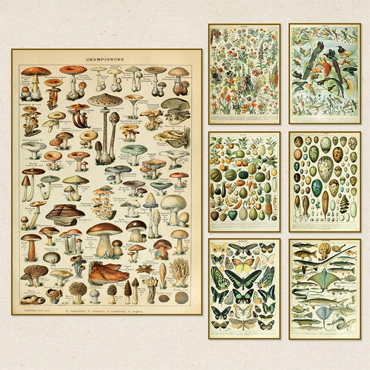 Vintage Botanical Insects Mushrooms Canvas Wall Art