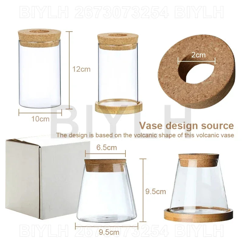 Nordic volcanic glass vase hydroponic tabletop plant arrangement