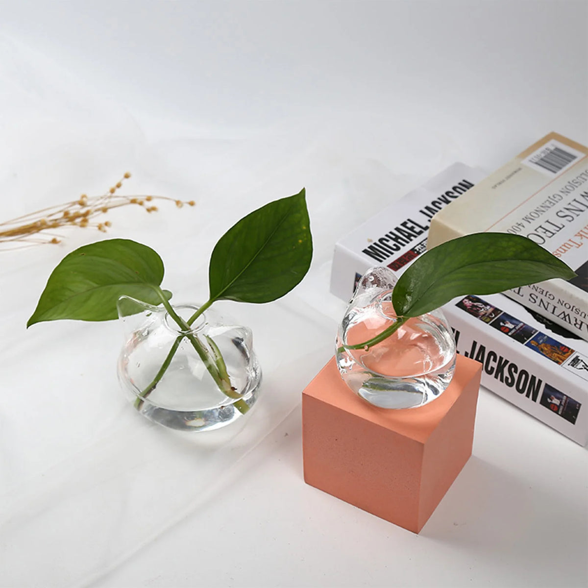 Large cat glass planter with air plant on a contemporary shelf display