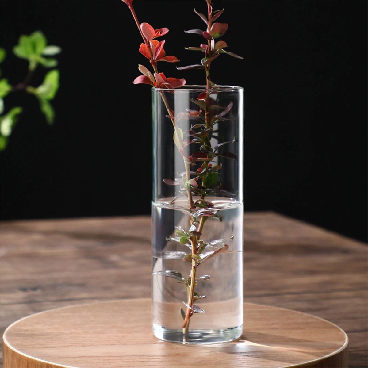 Three modern glass cylinder vases in different heights grouped on minimalist white shelf