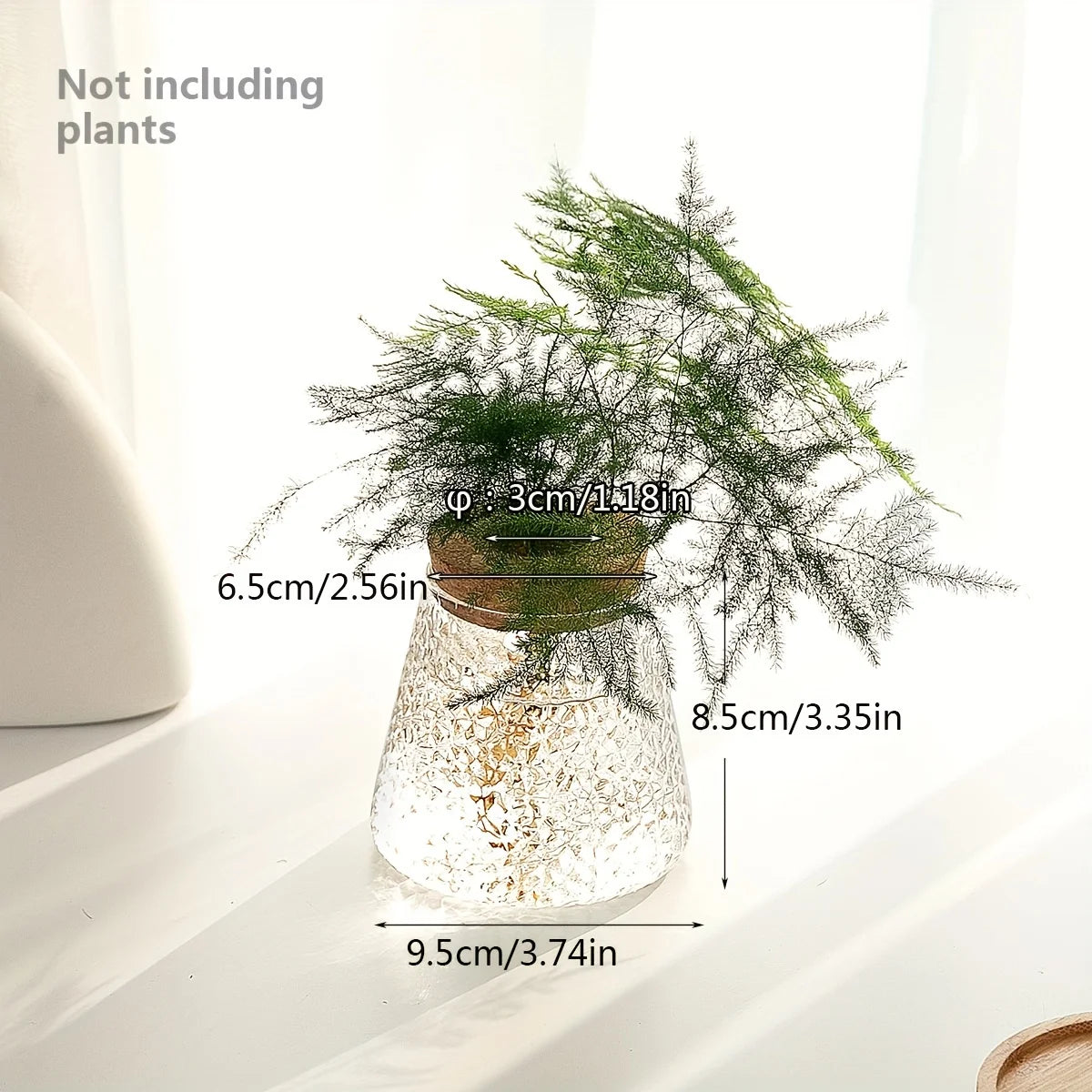 Glass hydroponic breeding station on windowsill in a Scandinavian botanical interior