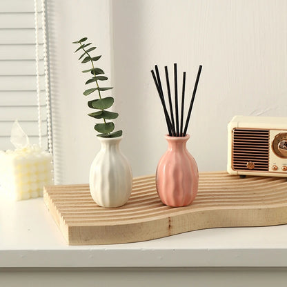 Ceramic hydroponic vase set paired with dried stems decor