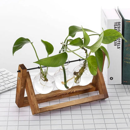 Style C wooden frame glass terrarium planter displaying plant cuttings