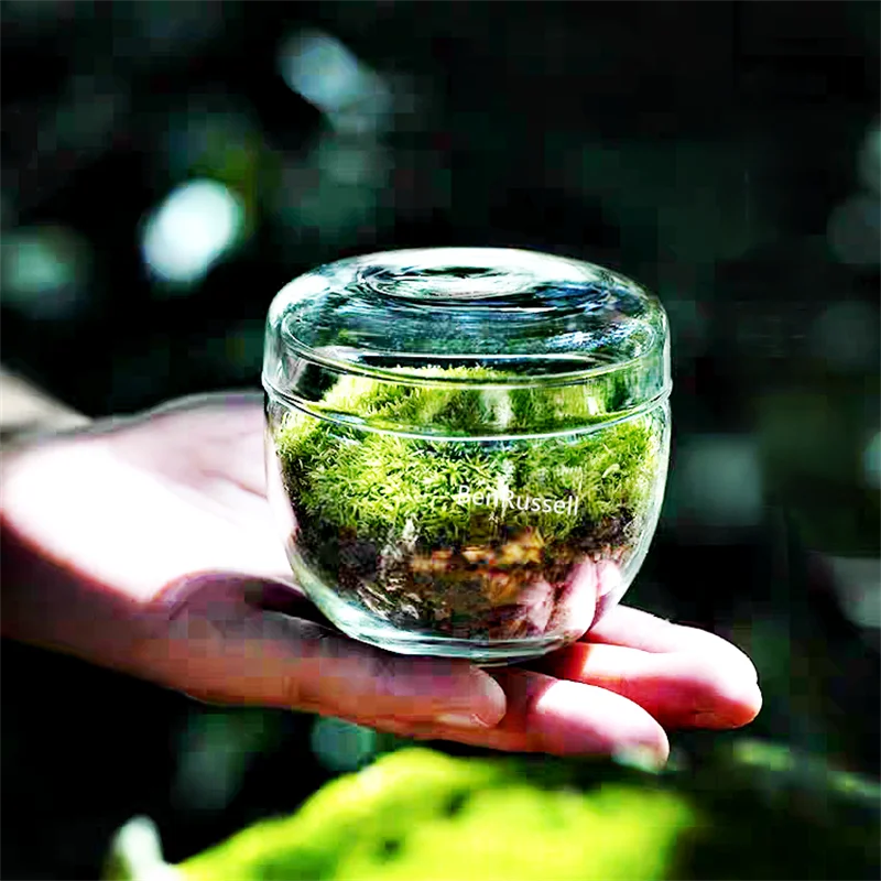 Small glass bottle terrarium 6x5.7cm for moss micro landscape display