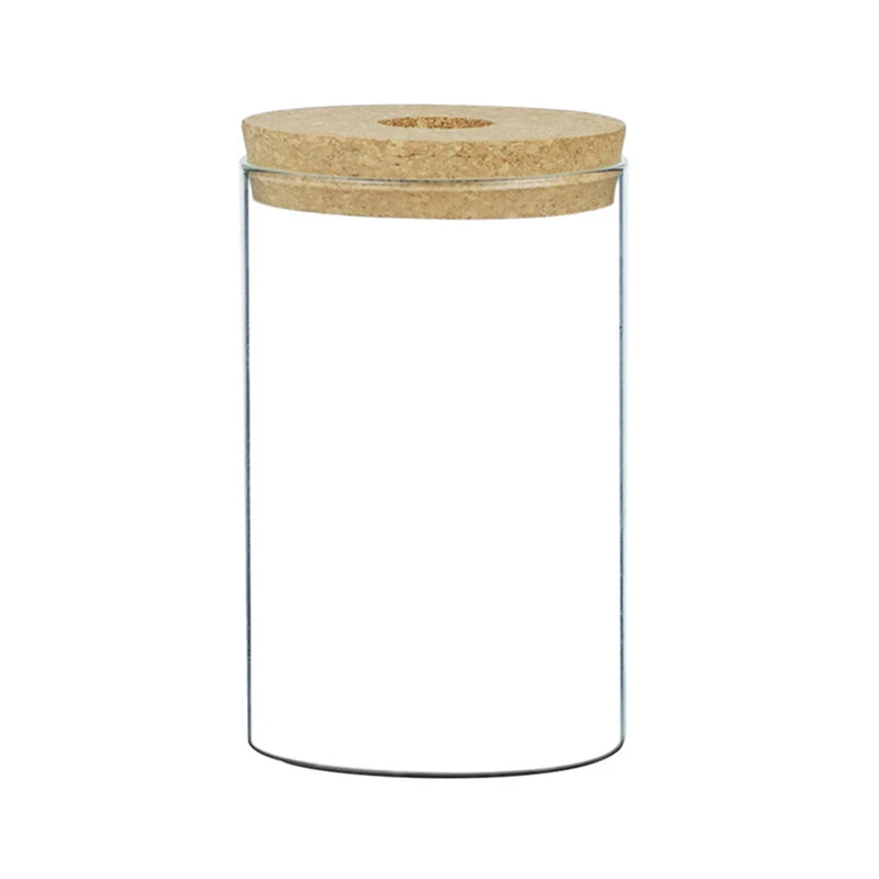 Transparent flower pot hydroponic display on wooden shelf