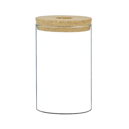 Transparent flower pot hydroponic display on wooden shelf